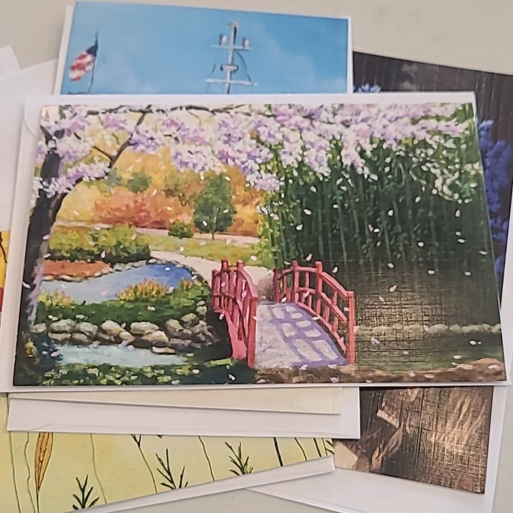 Colorful Blank Greeting Card Set